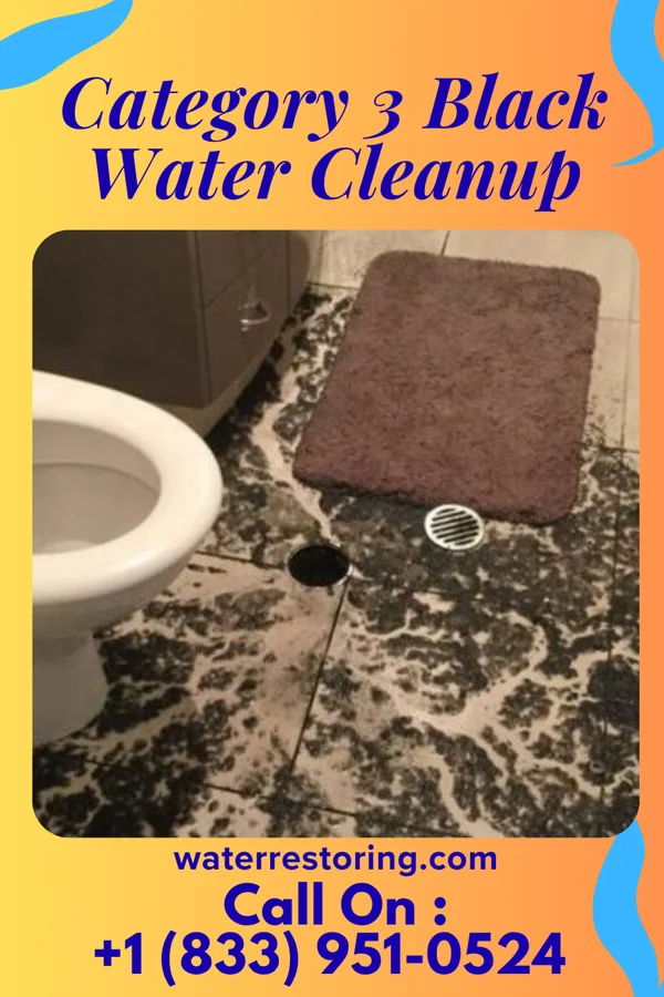 Category 3 Black Water Cleanup in Pompton Lakes, NJ