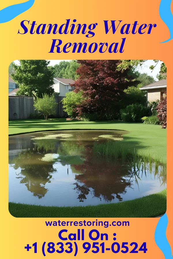 Standing Water Removal in Pompton Lakes, NJ